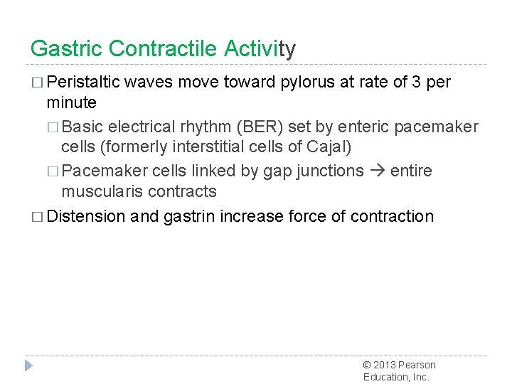 Gastric Contractile Activity � Peristaltic waves move toward pylorus at rate of 3 per