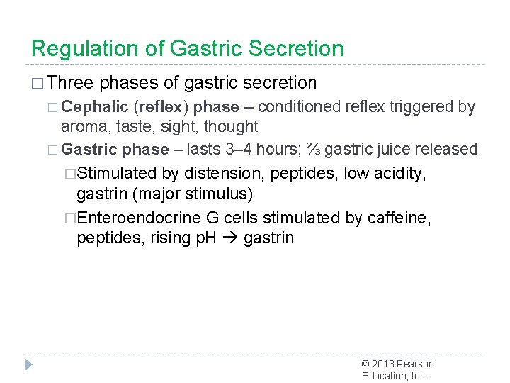 Regulation of Gastric Secretion � Three phases of gastric secretion � Cephalic (reflex) phase