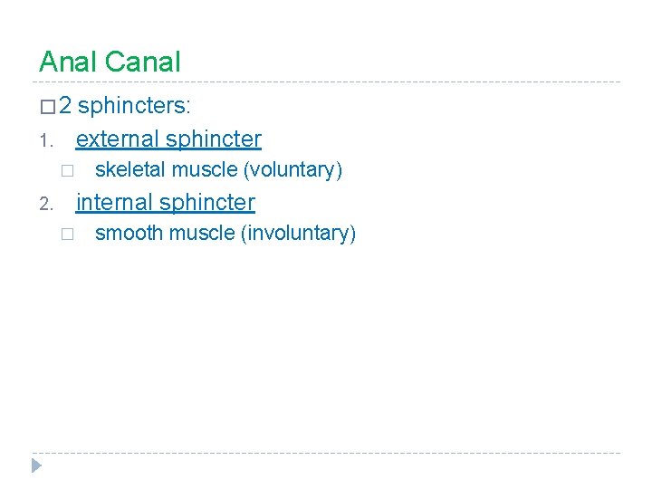 Anal Canal � 2 sphincters: external sphincter 1. � skeletal muscle (voluntary) internal sphincter