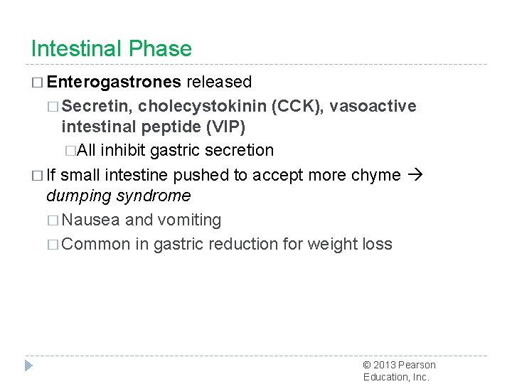 Intestinal Phase � Enterogastrones released � Secretin, cholecystokinin (CCK), vasoactive intestinal peptide (VIP) �All