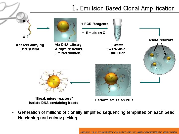 1. Emulsion Based Clonal Amplification A + PCR Reagents + Emulsion Oil B Micro-reactors