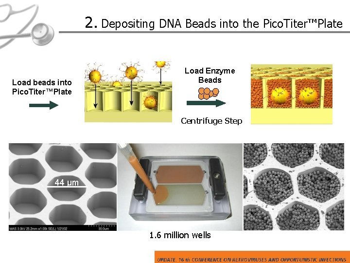 2. Depositing DNA Beads into the Pico. Titer™Plate Load beads into Pico. Titer™Plate Load