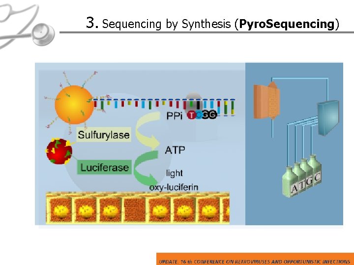 3. Sequencing by Synthesis (Pyro. Sequencing) 