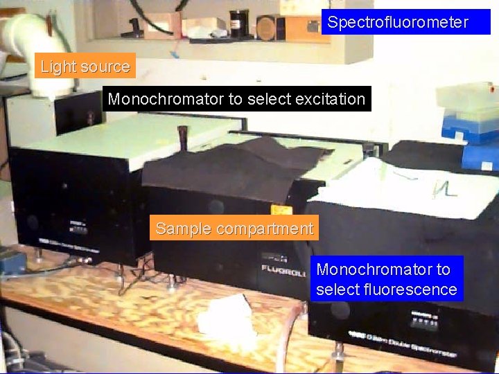 Spectrofluorometer Light source Monochromator to select excitation Sample compartment Monochromator to select fluorescence 