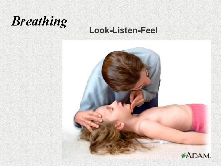 Breathing Look-Listen-Feel 