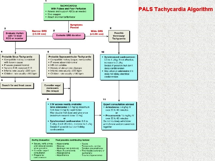 PALS Tachycardia Algorithm 