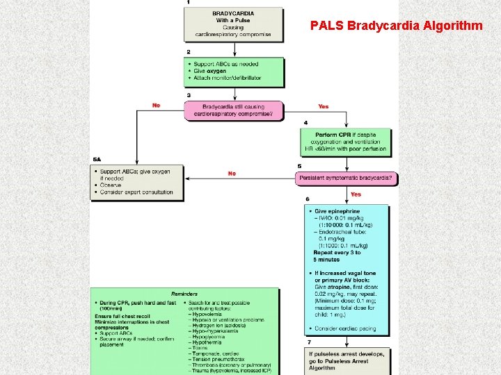 PALS Bradycardia Algorithm 
