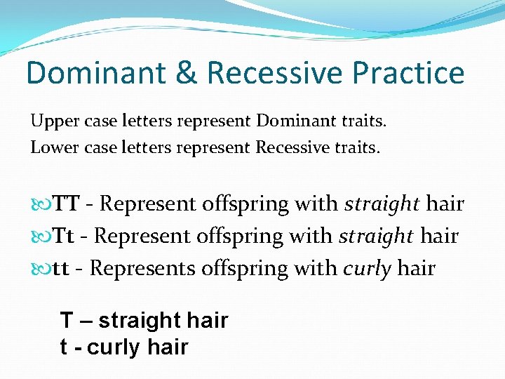 Dominant & Recessive Practice Upper case letters represent Dominant traits. Lower case letters represent