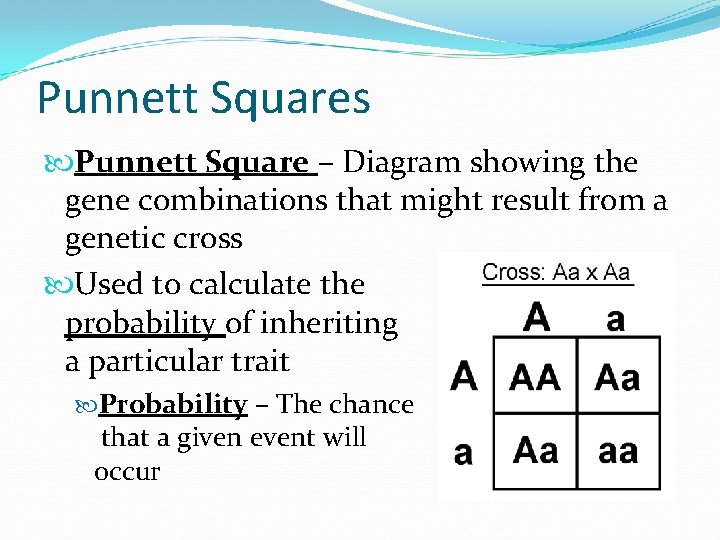 Punnett Squares Punnett Square – Diagram showing the gene combinations that might result from