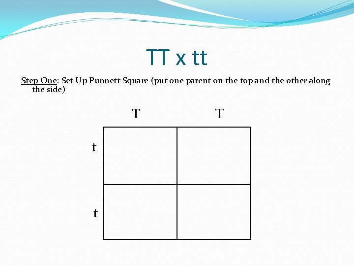 TT x tt Step One: Set Up Punnett Square (put one parent on the