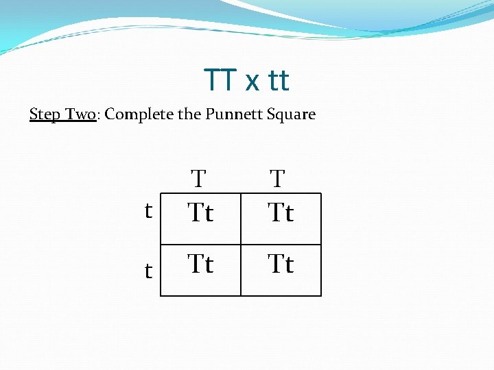 TT x tt Step Two: Complete the Punnett Square T t Tt Tt 