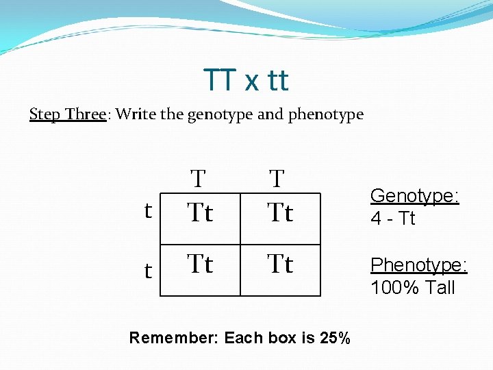 TT x tt Step Three: Write the genotype and phenotype T t Tt Tt