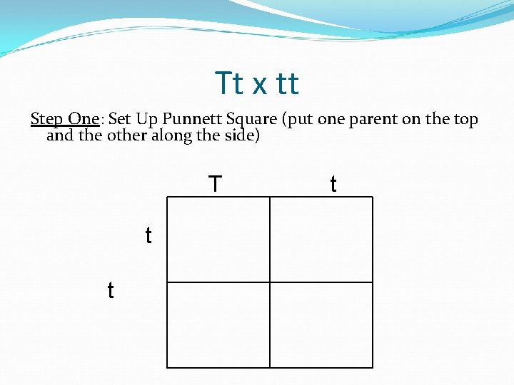 Tt x tt Step One: Set Up Punnett Square (put one parent on the