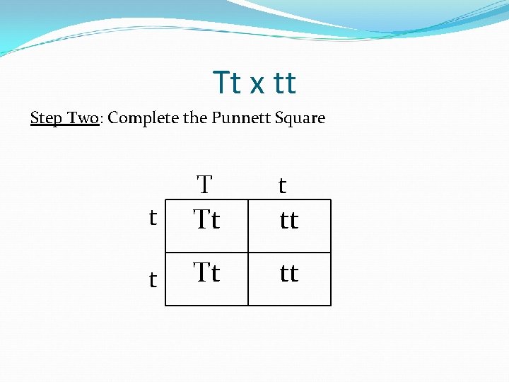 Tt x tt Step Two: Complete the Punnett Square T t Tt tt 