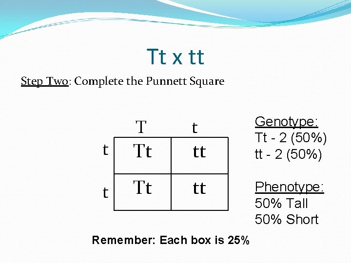 Tt x tt Step Two: Complete the Punnett Square T t Tt tt Remember: