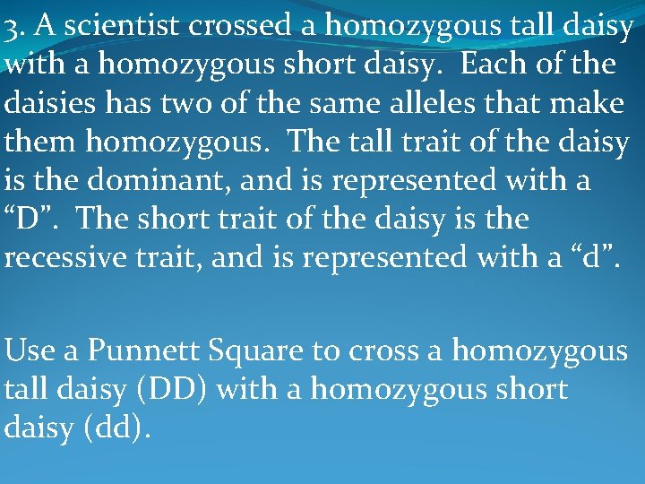 3. A scientist crossed a homozygous tall daisy with a homozygous short daisy. Each