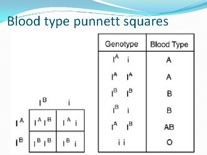 Blood type punnett squares 