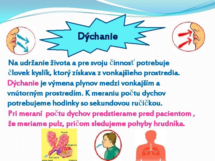 Dýchanie Na udržanie života a pre svoju činnosť potrebuje človek kyslík, ktorý získava z