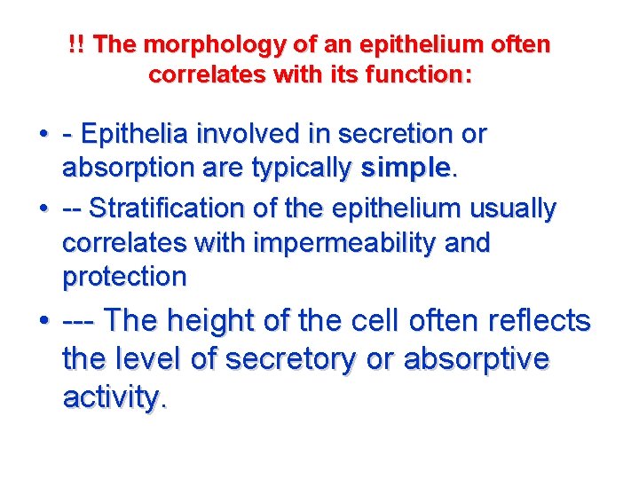 !! The morphology of an epithelium often correlates with its function: • - Epithelia