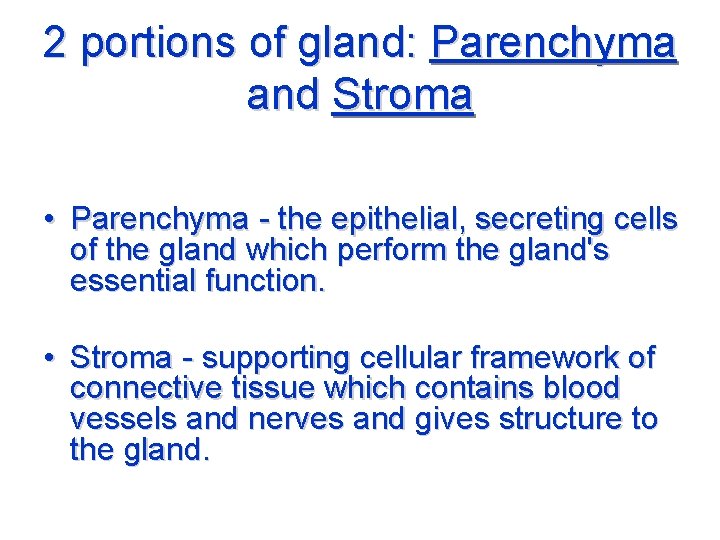 2 portions of gland: Parenchyma and Stroma • Parenchyma - the epithelial, secreting cells