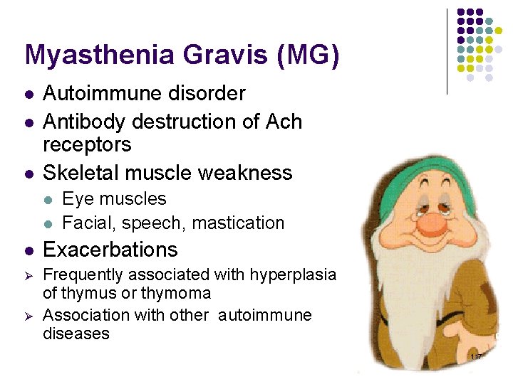 Myasthenia Gravis (MG) l l l Autoimmune disorder Antibody destruction of Ach receptors Skeletal