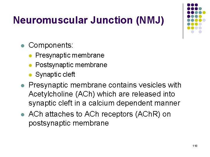 Neuromuscular Junction (NMJ) l Components: l l l Presynaptic membrane Postsynaptic membrane Synaptic cleft