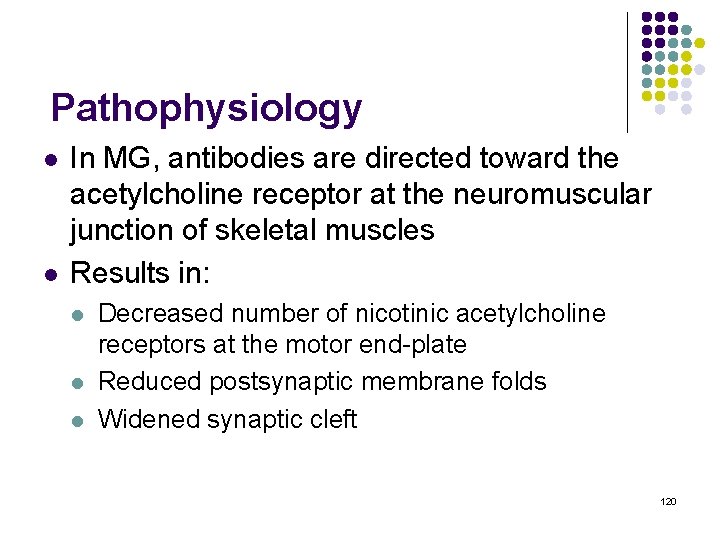 Pathophysiology l l In MG, antibodies are directed toward the acetylcholine receptor at the