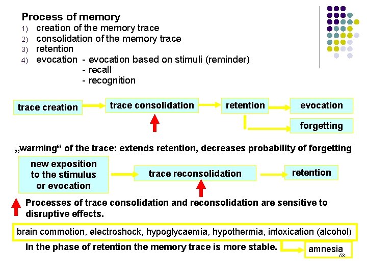 Process of memory 1) 2) 3) 4) creation of the memory trace consolidation of