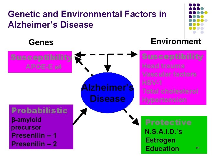 Genetic and Environmental Factors in Alzheimer’s Disease Environment Genes Susceptibility APOE-E 4 Alzheimer’s Disease