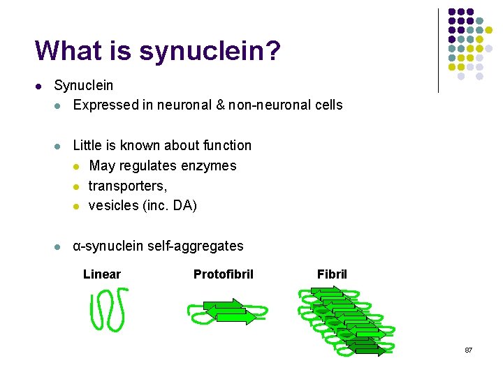 What is synuclein? l Synuclein l Expressed in neuronal & non-neuronal cells l Little