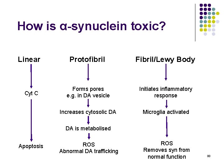 How is α-synuclein toxic? Linear Cyt C Protofibril Fibril/Lewy Body Forms pores e. g.
