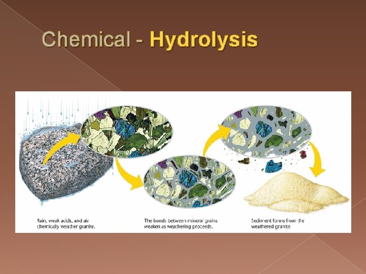 Chemical - Hydrolysis Chemical - Hydrolysis