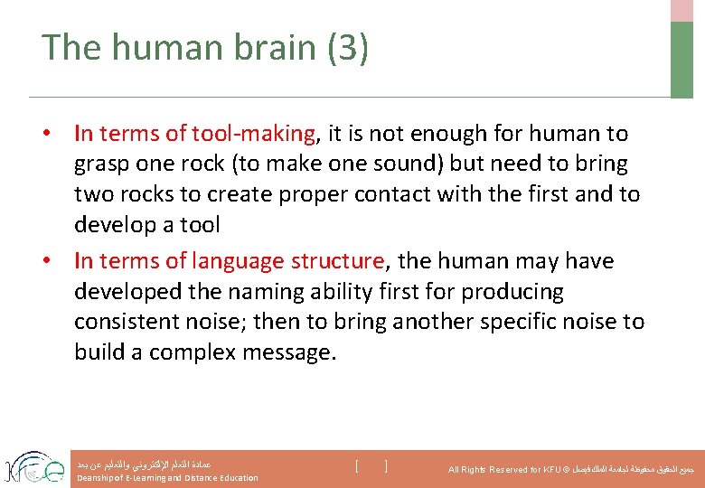 The human brain (3) • In terms of tool-making, it is not enough for