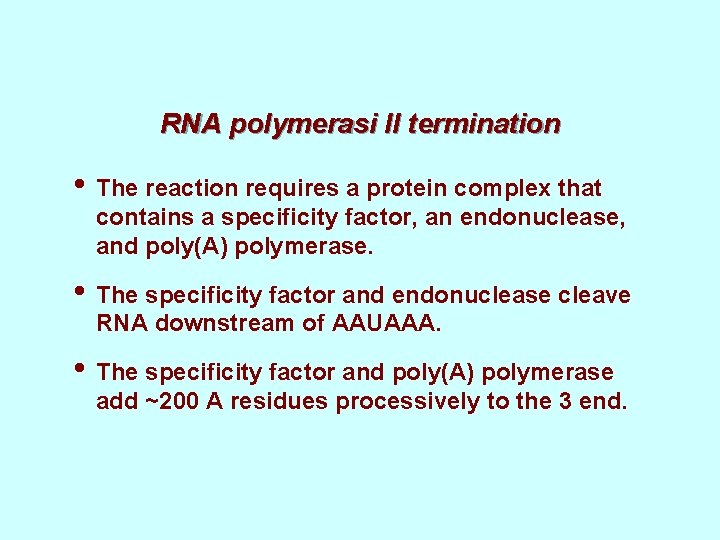 RNA polymerasi II termination • The reaction requires a protein complex that contains a RNA polymerasi II termination • The reaction requires a protein complex that contains a