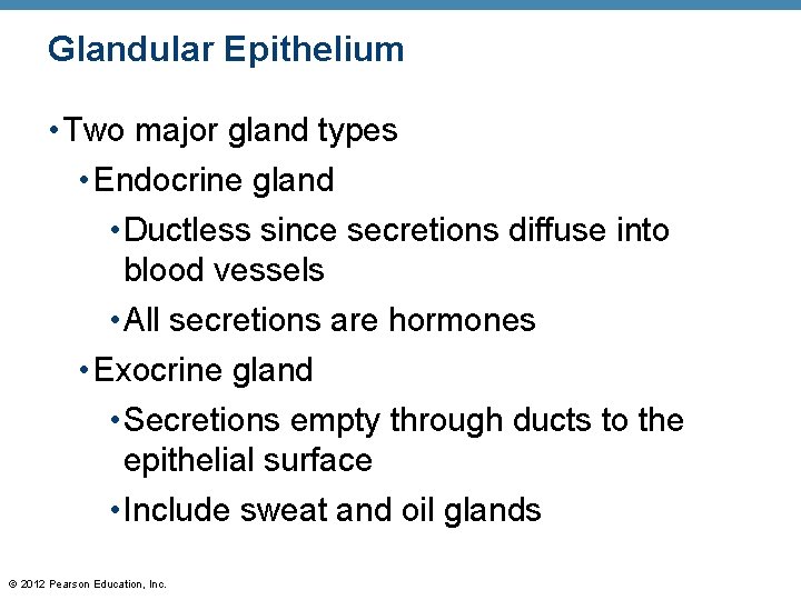 Glandular Epithelium • Two major gland types • Endocrine gland • Ductless since secretions