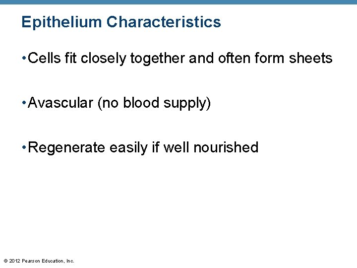 Epithelium Characteristics • Cells fit closely together and often form sheets • Avascular (no