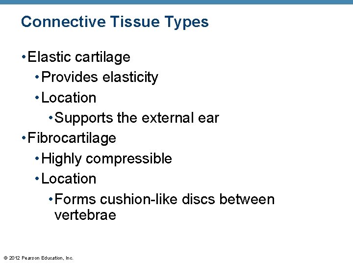 Connective Tissue Types • Elastic cartilage • Provides elasticity • Location • Supports the