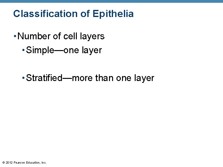 Classification of Epithelia • Number of cell layers • Simple—one layer • Stratified—more than
