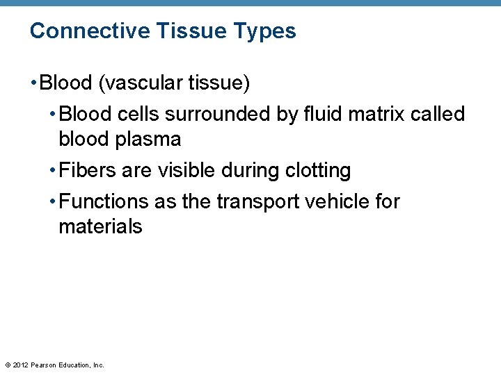 Connective Tissue Types • Blood (vascular tissue) • Blood cells surrounded by fluid matrix