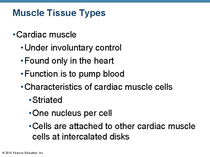 Muscle Tissue Types • Cardiac muscle • Under involuntary control • Found only in