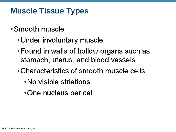 Muscle Tissue Types • Smooth muscle • Under involuntary muscle • Found in walls