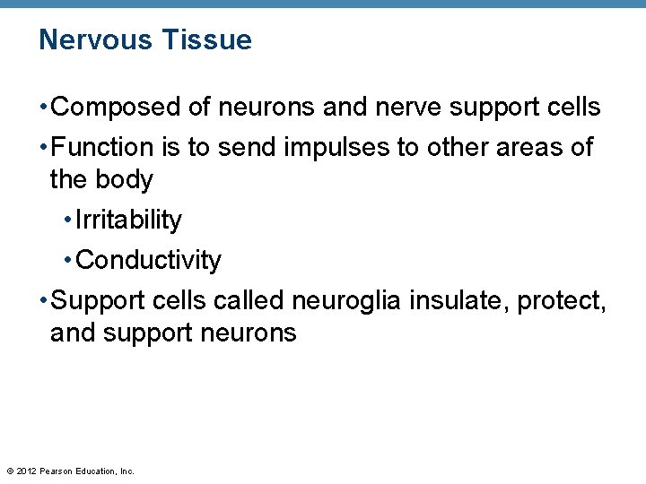 Nervous Tissue • Composed of neurons and nerve support cells • Function is to