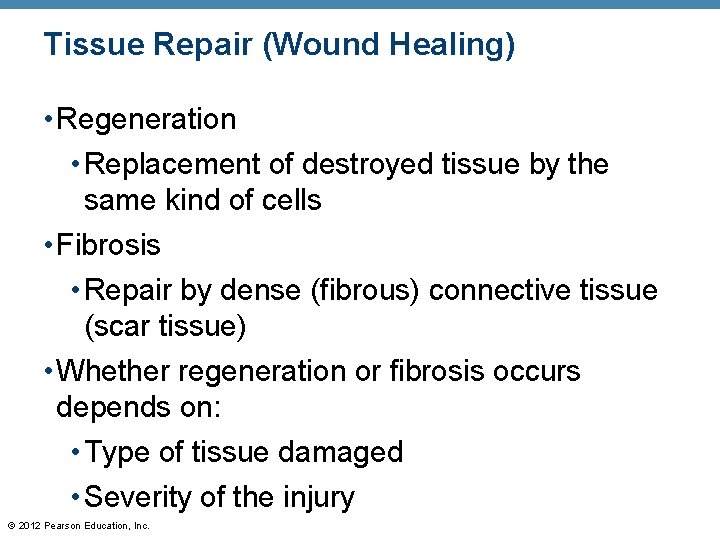 Tissue Repair (Wound Healing) • Regeneration • Replacement of destroyed tissue by the same