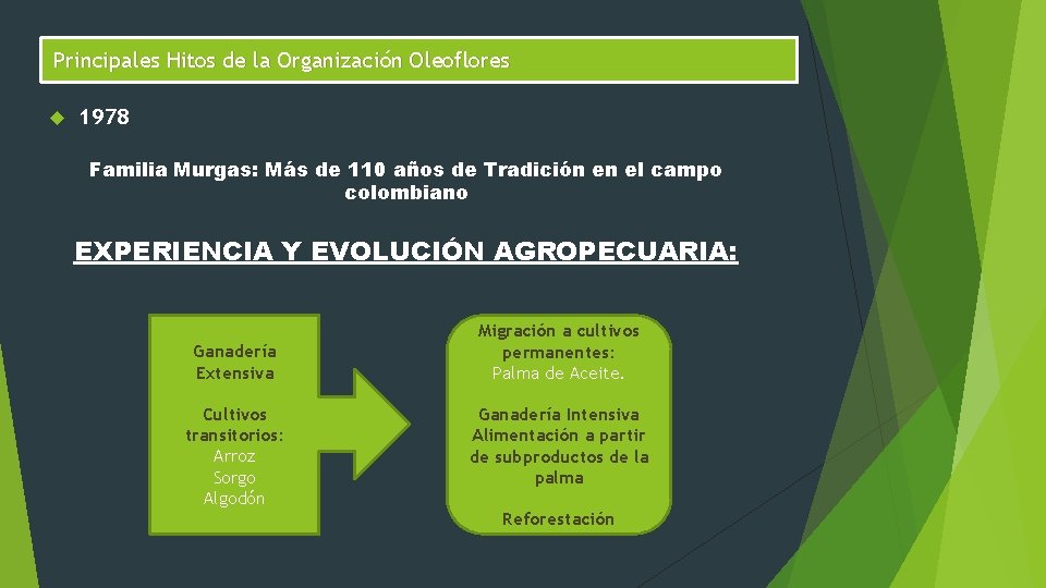 Principales Hitos de la Organización Oleoflores 1978 Familia Murgas: Más de 110 años de