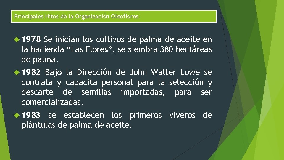 Principales Hitos de la Organización Oleoflores 1978 Se inician los cultivos de palma de