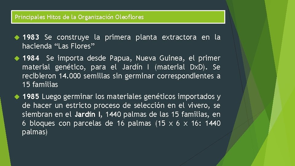 Principales Hitos de la Organización Oleoflores 1983 Se construye la primera planta extractora en