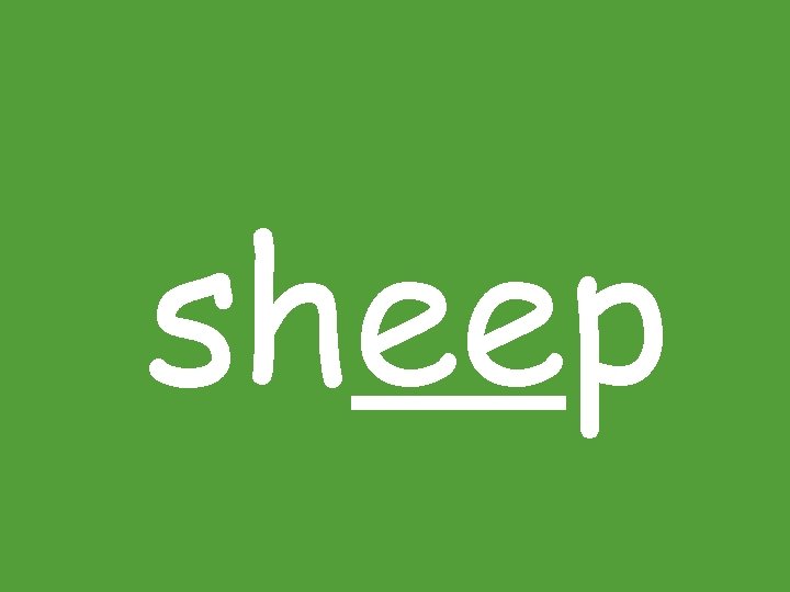sheep sheep