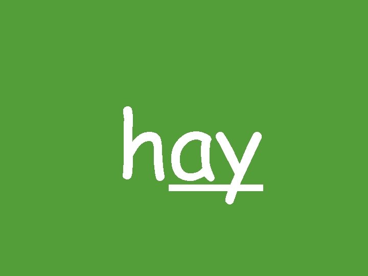 hay hay