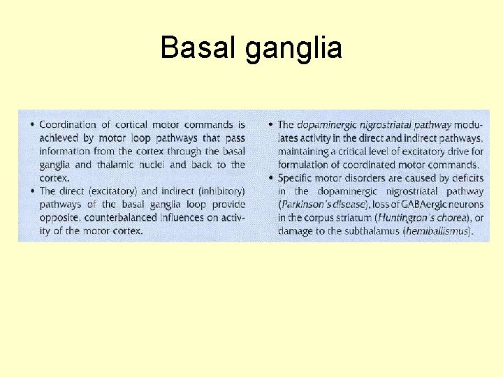 Basal ganglia 