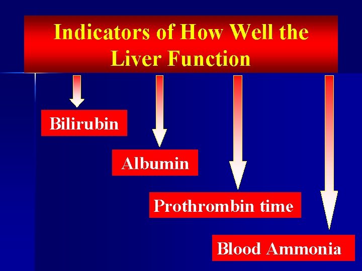 Indicators of How Well the Liver Function Bilirubin Albumin Prothrombin time Blood Ammonia 